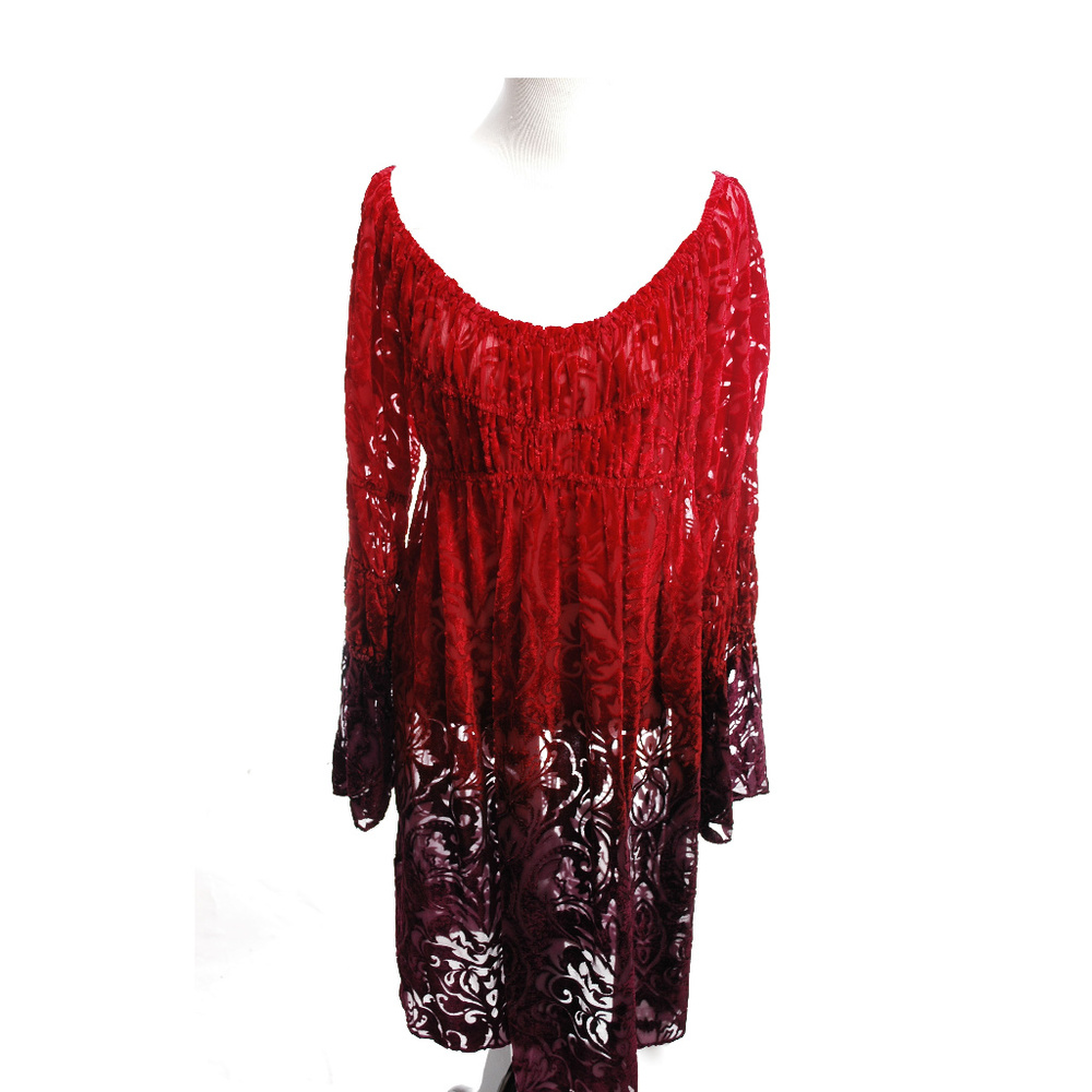 Muse Boho Velvet Dress Anthropologie Paisley 12